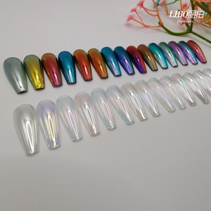 LIBO Privated Moonlight Silk Powder Silver Pearl Nail Art Fairy Moonlight Powder - Product Image 6
