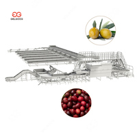 Fabriksprijs 200 kg fruit- en groentesorteermachine, koffiekersen- en koffiebonen sorteermachine voor olijven