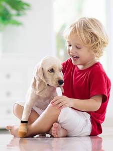 कस्टम लोगो विरोधी पर्ची पालतू मोजे कुत्ते को छोटे नस्ल कुत्तों के लिए पालतू पाव संरक्षक कर्षण नियंत्रण नियंत्रण - Product Image 6