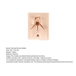 Yeni Perineal insizyon sütür ped tıbbi eğitim simülatörü silikon Vulva tıbbi travma eğitim modeli - Product Image 4