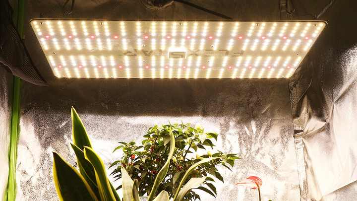 ☆ Custom Hanger LED Board　　　　　【数量限定】 Quantum Board – Boostgro