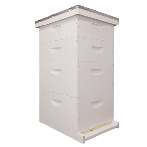 Ruche Langstroth assemblée et peinte à 10 cadres, kit complet avec cadres en bois et fondation en cire d'abeille pré-imprégnée - Product Image 5