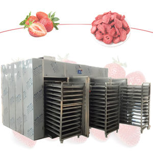 Horno de Secado Industrial de Acero Inoxidable para Procesamiento de Alimentos con PLC y Componentes Centrales del Motor, Máquina de Secado de Frutas con Ahorro de Energía - Product Image 6