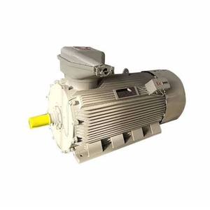 มอเตอร์ป้องกันการระเบิด YBX3 IE3 มอเตอร์เหนี่ยวนำสามเฟส Exd IIB T4 - Product Image 4