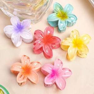 Thân Thiện Với Môi Trong Suốt Gradient Trứng Hoa Nhựa Handmade Trở Lại Đầu Nửa Tie Cá Mập Thanh Lịch Clip Kẹp Tóc Cross-Biên Giới - Product Image 2