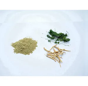 Low Price Ginseng Extract Water Soluble Panax Ginseng Extract Ginseng Extract Powder With Wholesale Price
