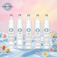 Appareil de beauté facial professionnel pour usage domestique, avec fonction hydro-massage exfoliant et hydratant, nouveau design, solution spa et sérum booster