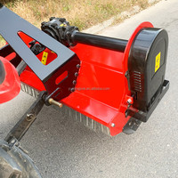 Tracteur de tondeuse à gazon 3 points à usage intensif série EF Tondeuse à fléaux PTO à vendre