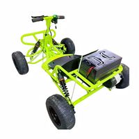 Kart Électrique Premium à Batterie Lithium 1000W 48V 20A pour Courses sur Piste de Jardin et Aventures en Plein Air – Conduite Rapide et Écologique
