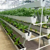 Système hydroponique de gouttière de plantation d'agriculture verticale de fraise