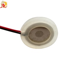 Disco Atomizador Piezoeléctrico Microporoso de Cerámica de 10 mm y 12 V, Elemento Atomizador Ultrasónico