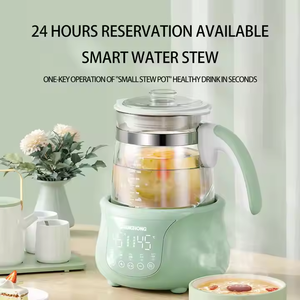 Hervidor eléctrico con pantalla LCD y función de calentador de botellas para preparar té de flores. - Product Image 4