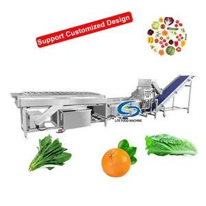 Großhandel PLC Citrus Fruit Washer Lemon Orange Waschen Wachsen Trocknen und Sortieren Maschine