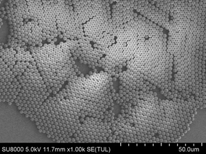 Nanoparticules de polystyrène carboxylé monodispersées à haute uniformité, norme pour l'immunoturbidimétrie hypersensible - Product Image 3