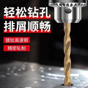 ชุดดอกสว่านเจาะไม้แบบตรงเคลือบไทเทเนียม 13 ชิ้น ผลิตตามสั่ง ทำจากเหล็กความเร็วสูง สำหรับงานไม้ - Product Image 2