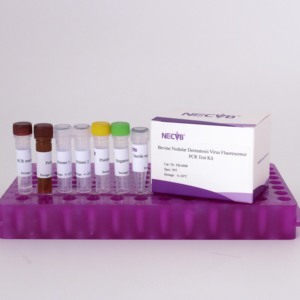 LSDV PCR <strong>Kit</strong> for Cattle - TaqMan Probe Real-Time Fluorescent Detection 50T/Box - Product Image 3