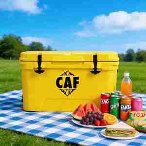 Glacière isotherme de <span class=keywords><strong>camping</strong></span> en plein air rotomoulée en LLDPE de 45 L, glacière en plastique réutilisable, glacière à vin, à nourriture, à canettes, chariot de voyage personnalisé avec dessin animé - Product Image 1