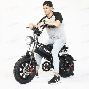DISIYUAN Dirt Bike électrique R T R Kit de vélo électrique à suspension complète pour adultes - Product Image 1
