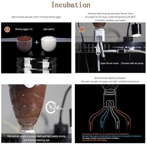 Incubateur d'aliments pour poissons, DIY, eau salée vivante, <span class=keywords><strong>Artemia</strong></span>, outil d'éclosion, saumure, œufs de crevettes, Kit d'éclosion - Product Image 5