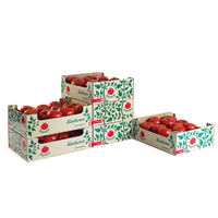Plateau à fruits en carton ondulé personnalisé boîte de vente au détail citron orange caractéristiques du logo gaufrage mat manipulation de l'impression par stratification