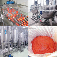 Ligne de production de pâte de tomate Machine de traitement de sauce tomate