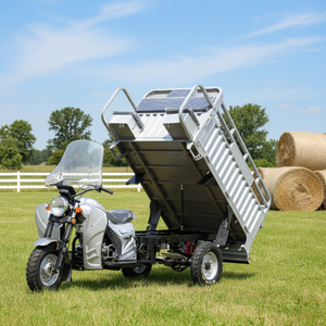 Performance Cheap Gasoline Open <b>Body</b> Trike/Tricycle Customizable Optional Accessories Dumper/Loader/Transport - Product Image 4