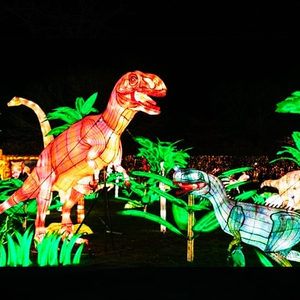 Tùy chỉnh Trung Quốc động vật lụa đèn lồng cho hiển thị/Oriental Lantern vải Trung Quốc lụa rồng - Product Image 4