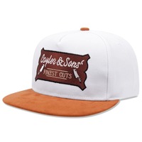 Casquette de baseball personnalisée en coton à 5 panneaux Casquette de camionneur en maille Petit logo à bord incurvé Arcs de fruits d'extérieur sportifs Motifs de lettres à pois