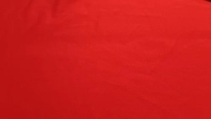 Tissu en polyester uni de qualité supérieure pour vêtements et décoration intérieure, durable, léger et facile d'entretien, disponible au meilleur prix - Product Image 6