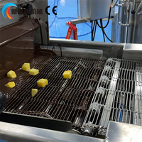 Machine à enrober le chocolat en acier inoxydable pour barres céréalières, fruits congelés et pain