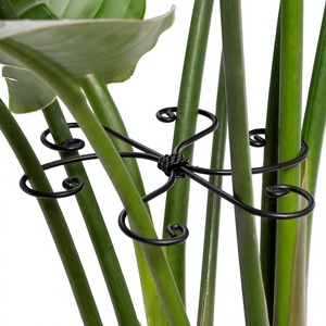 Supports de plantes en métal réglables, piquets robustes en fer pour tiges simples, supports de treillis pour fleurs, pour plantes en pot d'intérieur (Monstera), lot de 5 - Product Image 2