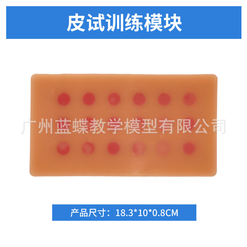 18 injection point skin test models