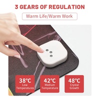 Tapis chauffant pour souris, en cuir PU, imperméable, pour ordinateur portable, bureau, maison