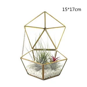 Terrarium géométrique en verre décoratif, nouvelle collection de produits, vente en gros, 2019