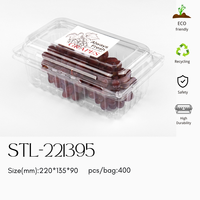 Fourniture de boîtes en PET transparentes à clapet pour fruits frais Conteneur d'emballage Perforé en plastique Tomate Cerise Raisin Fruits Punnets Boîtes