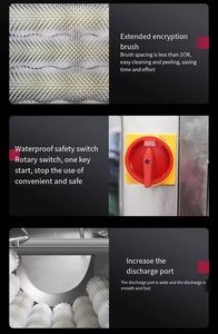 Máquina Peladora de Patatas, Yuca, Batata, Zanahoria y Remolacha con Cepillos para Pelar y Lavar - Product Image 6