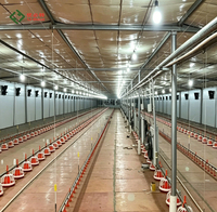 Mangeoire et abreuvoir automatiques pour poulets avec ventilateur de bonne qualité et coussin de refroidissement