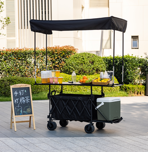 Customizable <b>Foldable</b> Cart with Wheels for Street Vendors High Loading Capacity Wagon <b>Trolley</b> Cart with Roof - Product Image 3