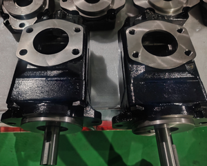 Lainuo T7 Series T7BB T7BBS T6CC T67CB T7DB T7DBS T67DC T7DD T7DDS Double Hydraulic Vane Pump T67DC B28 B14 1R00 A100 - Product Image 3