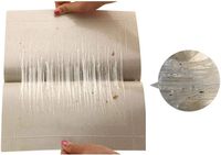 Outil de piégeage de mouches collant super efficace avec colle forte pour le contrôle des mouches en extérieur