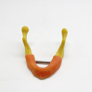 Modelo de ejercicio de implante mandibular dental para entrenamiento Práctica de perforación de sutura de incisión de conexión de hueso de mentón oral - Product Image 4