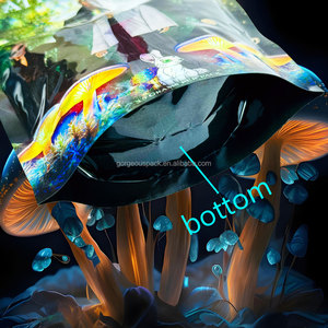 3.5 sacs en mylar pochette de sac en mylar en forme imprimée personnalisée sacs en mylar comestibles holographiques anti-odeur 7g 14g 28g 1lb - Product Image 3
