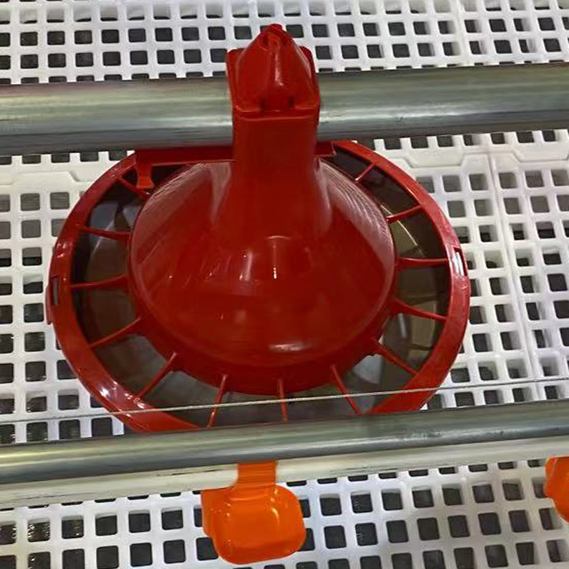 Automatic broiler / chicken / poultry pan feeding line