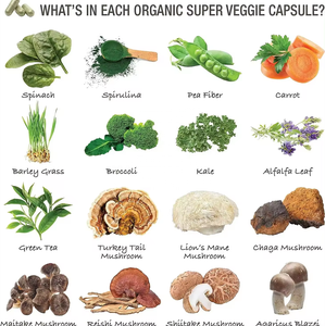 Cápsulas de Frutas y Verduras Orgánicas de Marca Privada OEM al por Mayor, Suplemento de Fibra Dietética para el Equilibrio Nutricional - Product Image 3