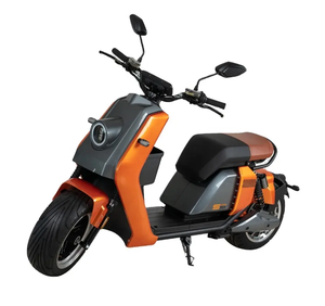 Motocicletas Todoterreno 60V Batería de 12Ah 20Ah 30Ah 40Ah 55Ah Potencia de Motor 2000-3000W Llantas Anchas EEC COC - Product Image 1