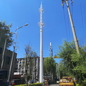 Mât d'antenne autoportant Shenghong Monopole, tour de <span class=keywords><strong>communication</strong></span>, Internet 5G, acier galvanisé à chaud, 15M-80M, Amérique - Product Image 6