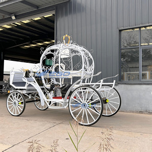 Carrozas de Caballos Eléctricas Modelo 2026 de Gran Venta, Carruajes Reales y Transporte Especial Tirado por Caballos en Venta - Product Image 4
