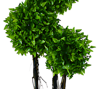 Prix usine gros topiaires arbres à feuilles persistantes arbre vert buis artificiels arbres topiaires pour la maison salon décoration