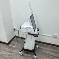 15 Inch Touch-Screen Intimate Skin-warming Care Beauty Device 3.0mm 4.5mm Depth Adjustable Portable Handpiece Beauty Salon
