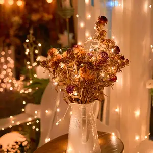 Christmas Wedding Party USB Operated Fairy Light Plug in 33ft 100 Led Waterproof String Copper Wire Decorative String Light